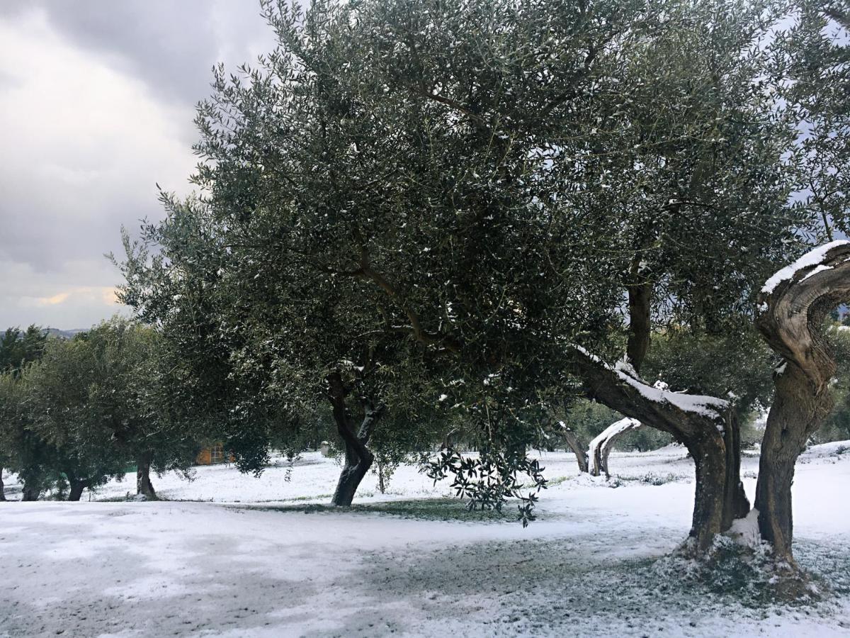 Villa Di Carlone Pianella  エクステリア 写真